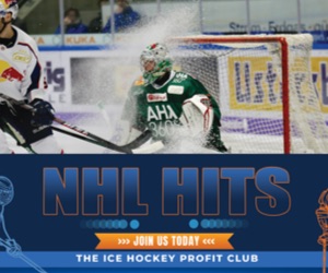 NHL Hits