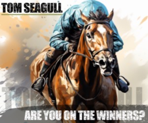 Tom Seagull