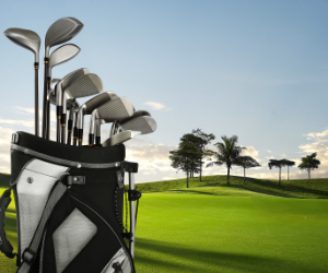Golf selector